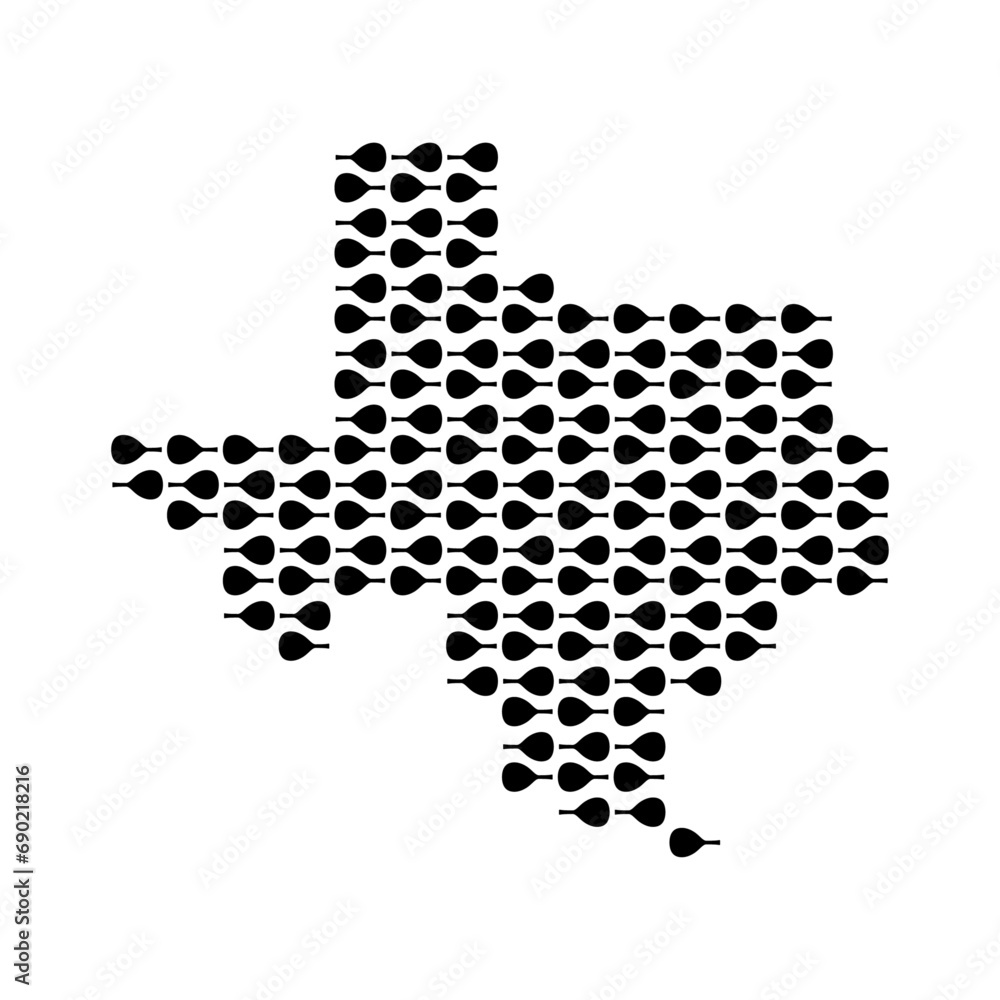 Texas map with padel image