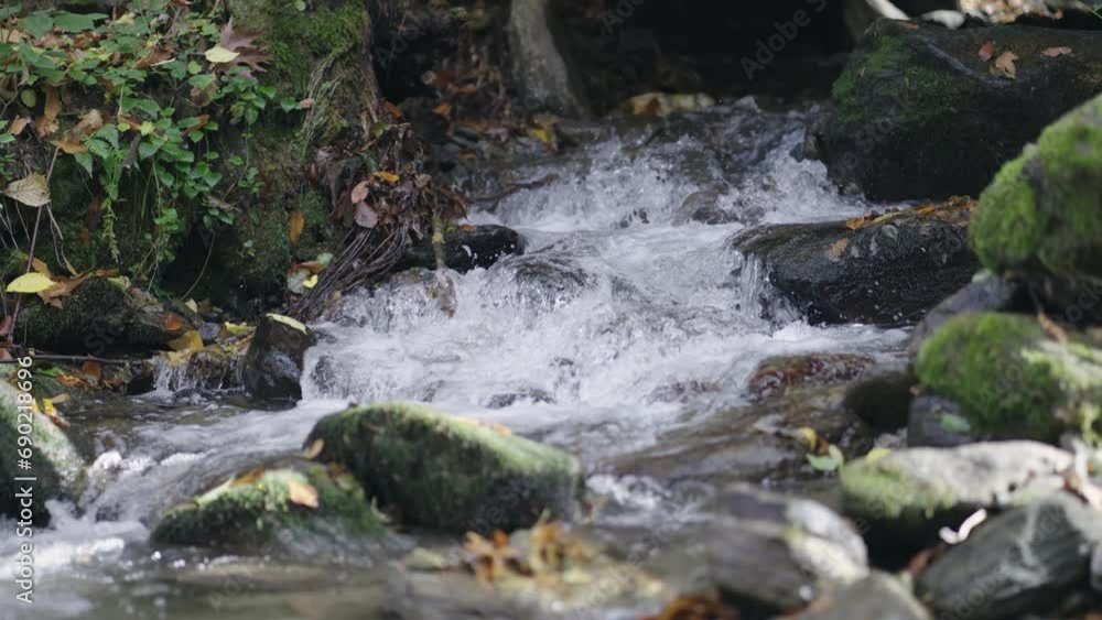 Pure fresh water creak in forest, slow motion cinematic scene Pure fresh water creak in forest, slow motion cinematic scene
