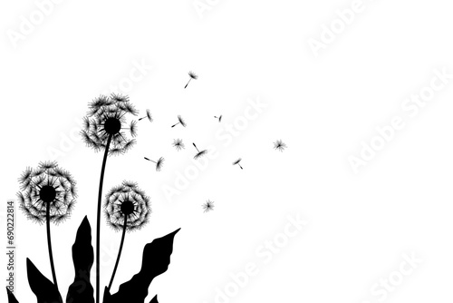 blowing dandelion silhouette with copy space