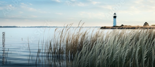 Newport nature reserve with lighthouse just peeping over the reeds Clouds and blue sky reflecting in the calm water. Website header. Creative Banner. Copyspace image