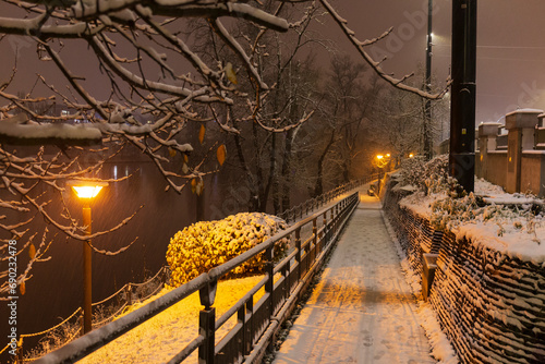 Night snowy Nature with Trees around River Vltava, Holesovice, the most cool Prague District, Czech Republic photo