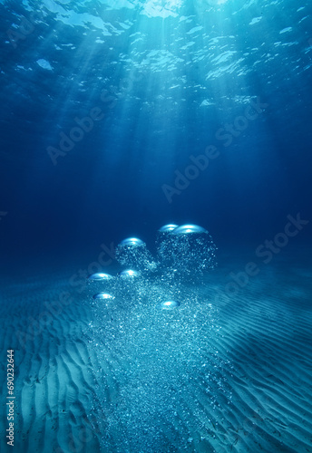 underwater world in the water