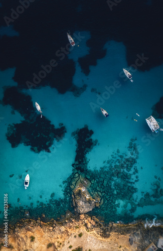 coral reef and fishes