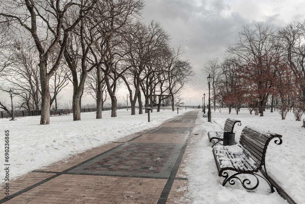 Picturesque winter stroll in the Kyiv city park
