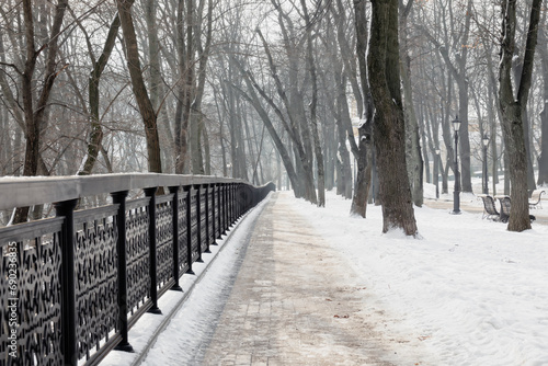Picturesque stroll in the winter park © Mny-Jhee