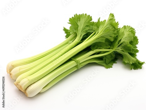 Celery stalks isolated on white background