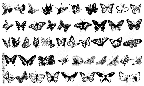 Black and white butterfly icon collection photo