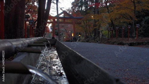 滋賀県大津市坂本の日吉大社の山王鳥居と境内の風景です photo