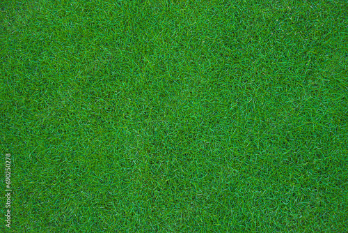 Overhead of green grass in sports stadium for background or texture. close up of natural green lawn texture background