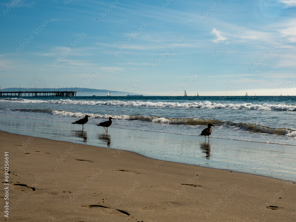 Beautiful and Peaceful Ocean Beach Landscape, Venice Beach, California 06