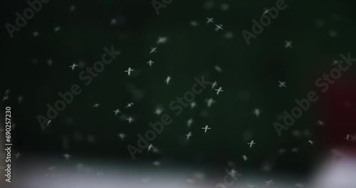 Fly insects mosquito swarm in the forest, slow motion