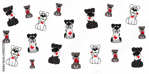 vector background of miniature schnauzer cartoons with love gift 