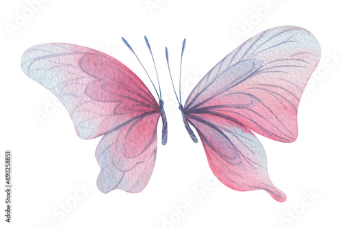 Butterflies are pink, blue, lilac, flying, delicate with wings and splashes of paint. Hand drawn watercolor illustration. Set of isolated elements on a white background, for design © NATASHA-CHU