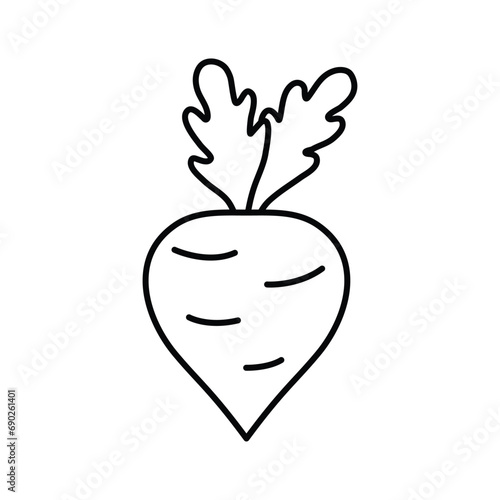beetroot icon vector beet icon