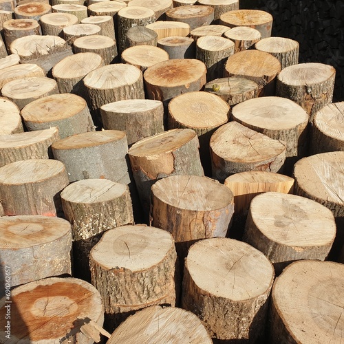 stack of firewood