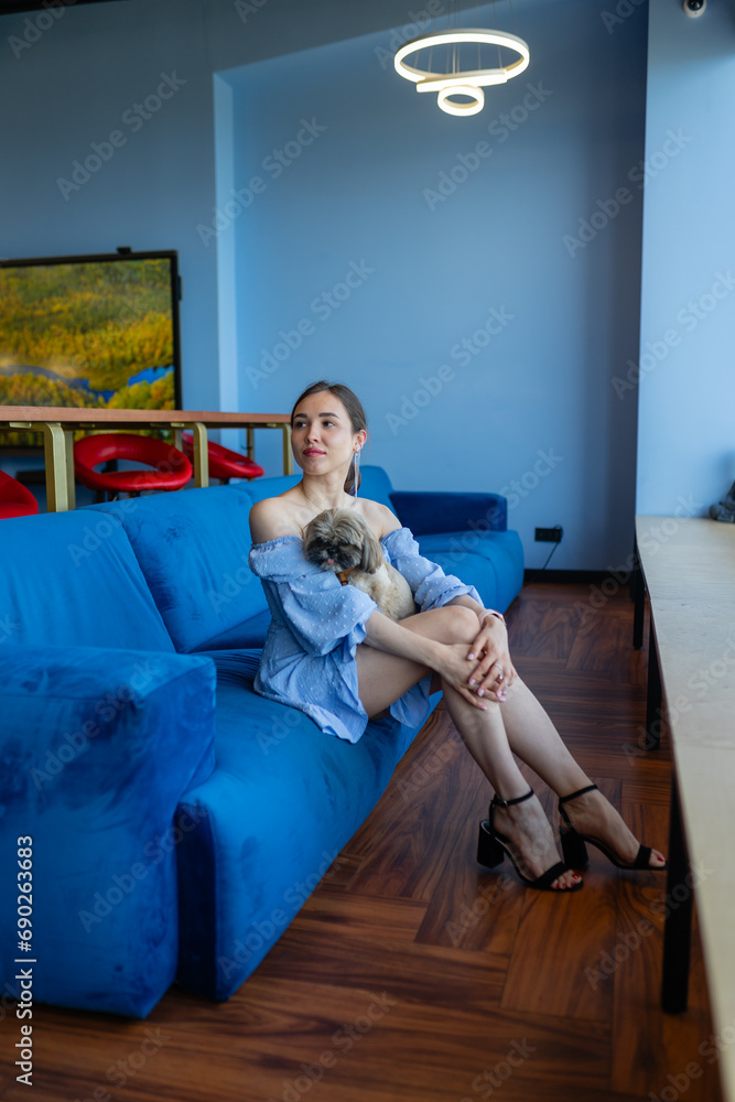 Obraz premium Long-haired businesswoman sits on sofa in company lounge. Brunette woman spends time with favourite shih tzu in coworking zone