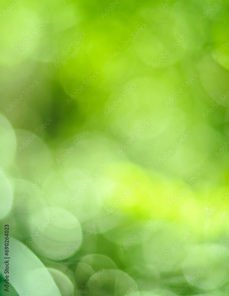 Fototapeta premium green bokeh background