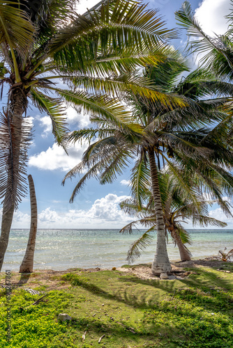 Rajska plaża, palmy, kokosy