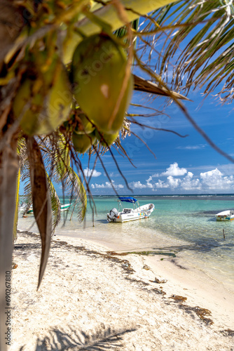 Rajska plaża, palmy, kokosy © DawidFastMan