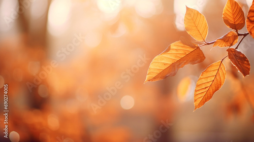 autumn leaves background