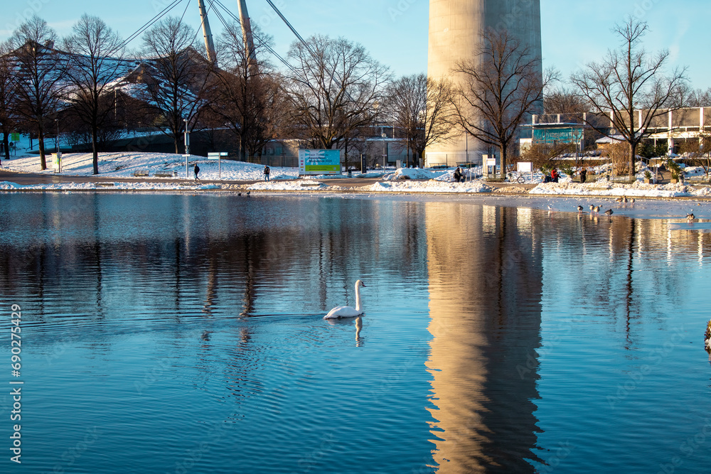 Lake with a swan near the Olympic Park in winter, Munich, Germany. This place is a tourist attraction in the city of Munich