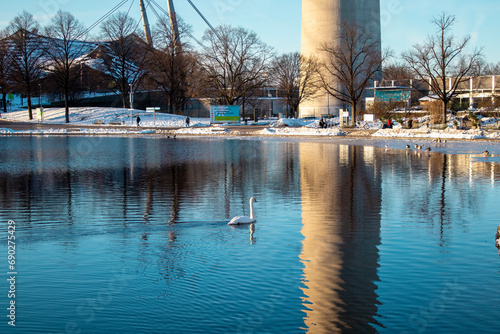 Lake with a swan near the Olympic Park in winter, Munich, Germany. This place is a tourist attraction in the city of Munich