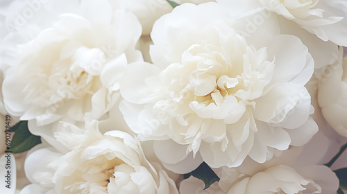 Bouquet of stylish peonies close-up. White peony flowers. Close-up of flower petals. Floral greeting card or wallpaper. Delicate abstract floral pastel background. Greeting card. Generated AI