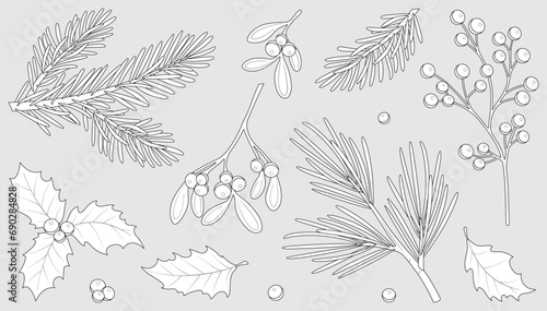 Winter berries and leaves. Vector winter elements with leaf, fir, pine branches, berry. Christmas floral collection for invitations, greeting card, textile, fabric, posters. Botanical print. photo