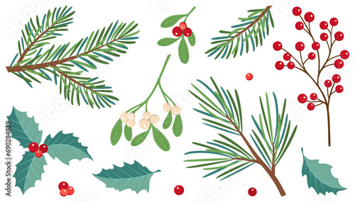 Winter berries and leaves. Vector winter elements with leaf, fir, pine branches, berry. Christmas floral collection for invitations, greeting card, textile, fabric, posters. Botanical print. photo