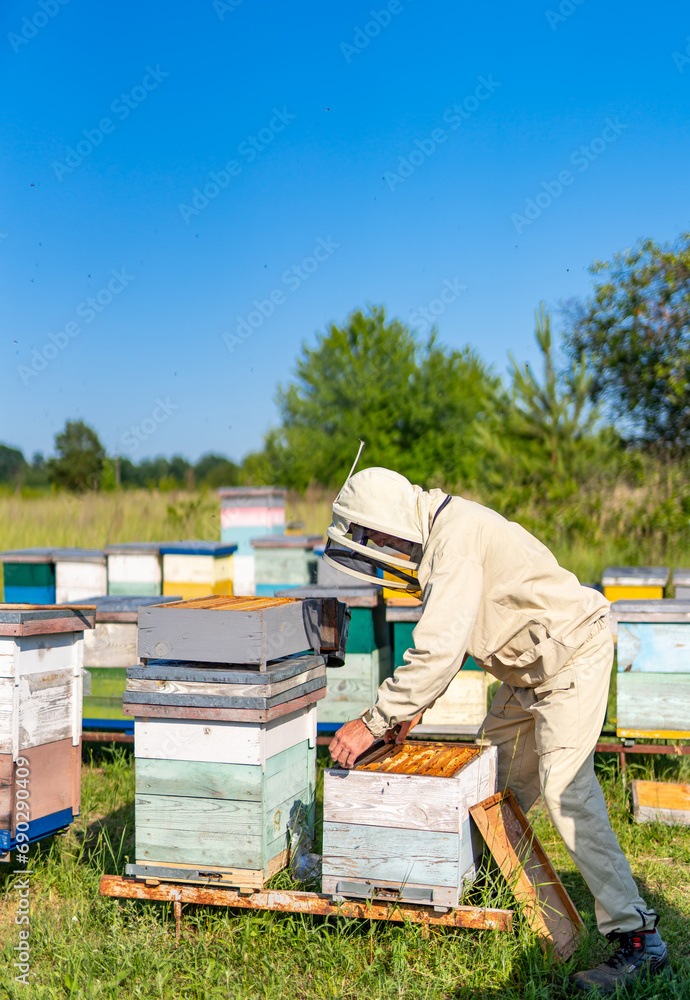 A man in a beehive with a bunch of bees. A Man in a Beehive with a Swarm of Bees A man in a beehive with a bunch of bees. A Man in a Beehive with a Swarm of Bees