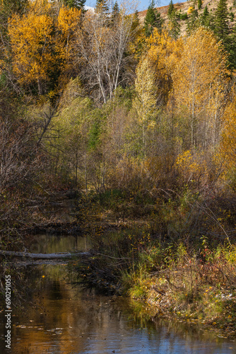 Fall Foliage along Nason Creek