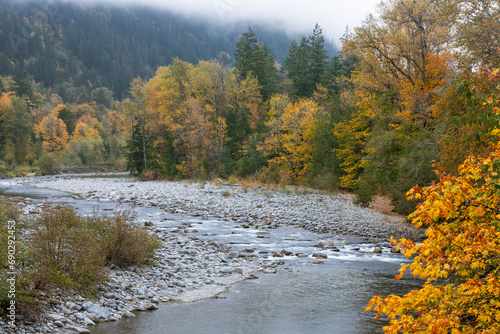 Autumn color on a misty day