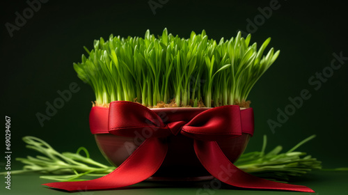 Green wheat sprouts in a clay pot decorated with a red ribbon  congratulations on the spring holiday of Nowruz