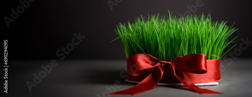 Banner with wishes for Happy Nowruz, green fresh wheat grass decorated with red ribbon with copy space for text, spring equinox celebration photo