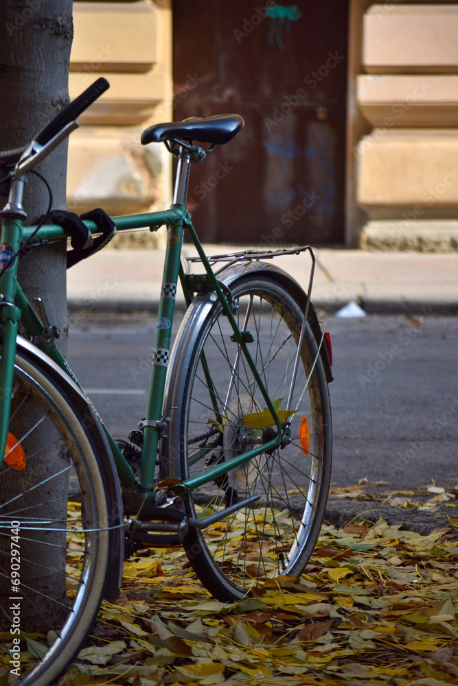 City bike on the street over some autumn leaves City bike on the street over some autumn leaves