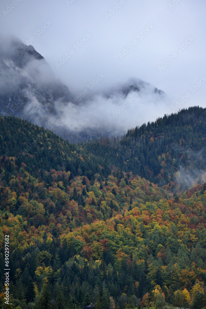 Cloudy mountain covered by Autumn colors