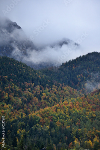 Cloudy mountain covered by Autumn colors