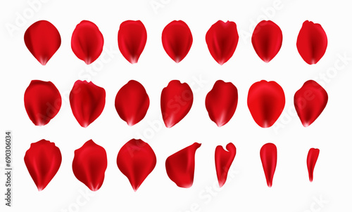 Realistic vector elements set of rose petals. Rose petals. Flowers plants elements leaves red petals collection for beautiful romantic womans detailed vector template