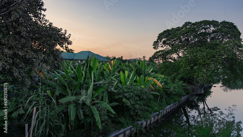 A picture of a banana plantation with a waterway running through it. There are perennial trees growing on both sides. at dusk When the sun is about to set in the evening.