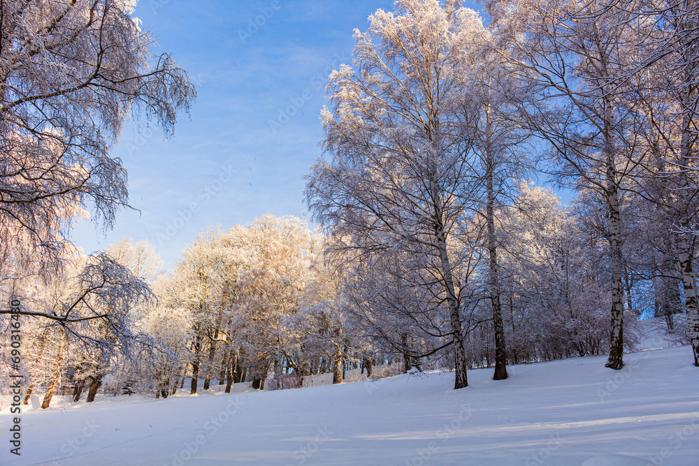 Winter beautiful landscape with trees covered with hoarfrost Winter beautiful landscape with trees covered with hoarfrost