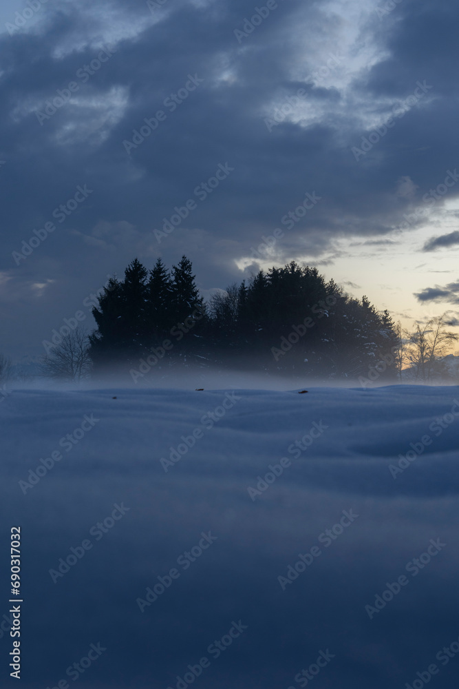 Misty moody winter landscape with group of trees in blue hour Misty moody winter landscape with group of trees in blue hour