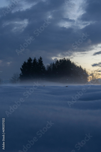 Misty moody winter landscape with group of trees in blue hour