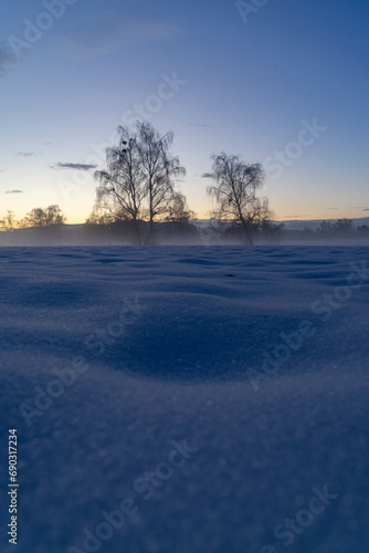 Trees in evening light in winter landscape with snow and misty fog