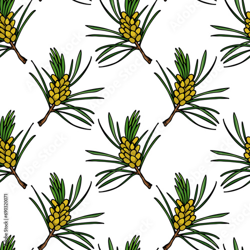 Fototapeta Naklejka Na Ścianę i Meble -  Vector seamless pattern with hand drawn pine twigs with spring cones. Beautiful design elements, ink drawing. Perfect for prints and patterns for Christmas or New Year holidays season.