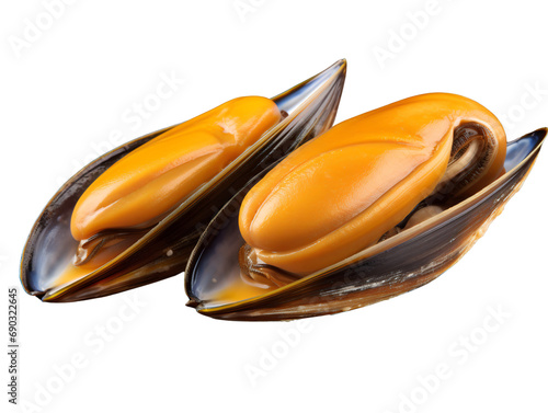 Savory Stuffed Mussel Delicacy, isolated on a transparent or white background