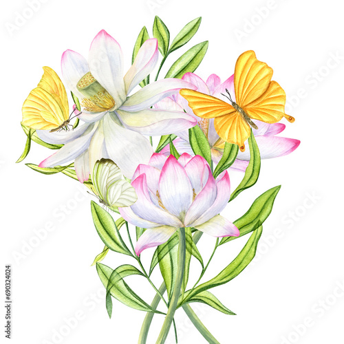 Bouquet of pink lotus flowers  green leaves. Yellow butterflies fluttering around blooming waterlilies. Watercolor illustration isolated on white. For poster  cards  greeting  invitation.