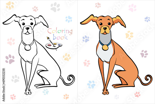 Vector Coloring Book page of dog Italian Greyhound breed sitting