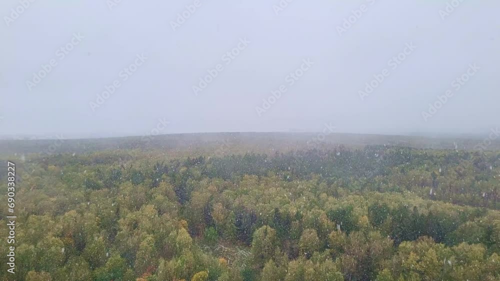 First snow outside the window over the autumn forest First snow outside the window over the autumn forest