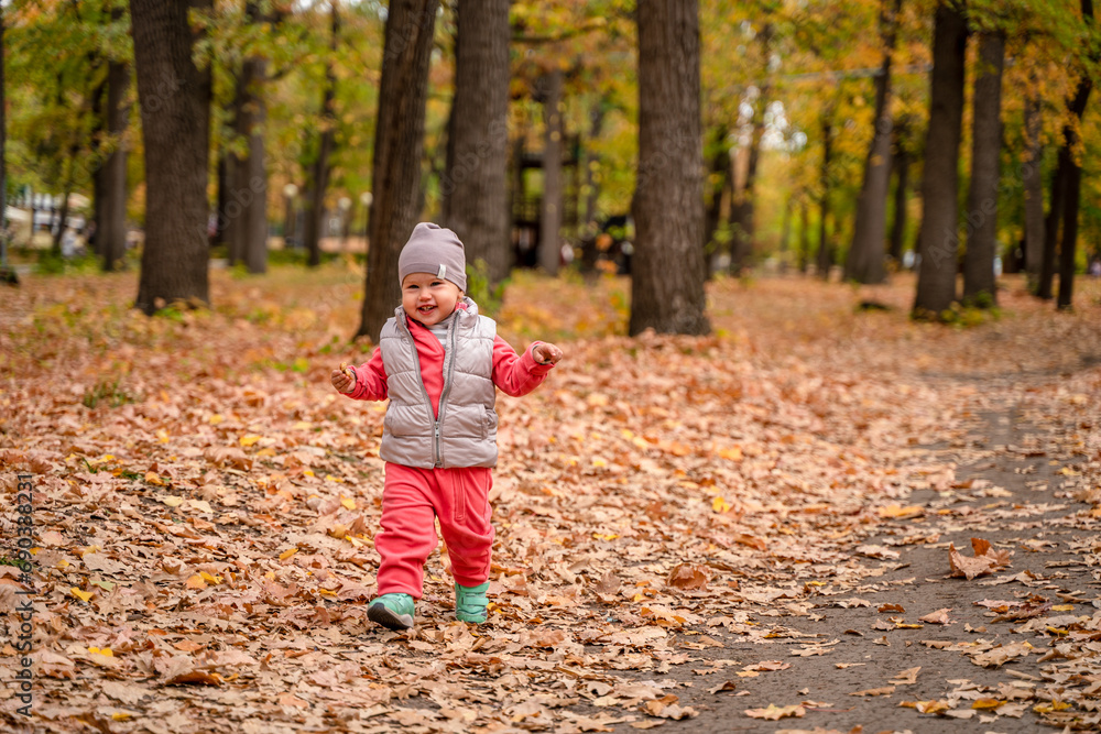 Cute child toddler baby in autumn park, forest with fallen leaves Cute child toddler baby in autumn park, forest with fallen leaves