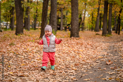 Cute child toddler baby in autumn park, forest with fallen leaves